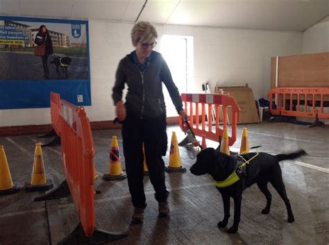 guide dog training centre leamington